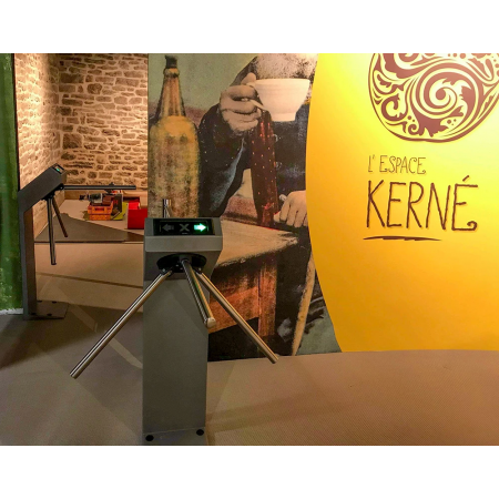 PERCo Моторизованный турникет-трипод TTR-10АK PERCo Моторизованный турникет-трипод TTR-10АK